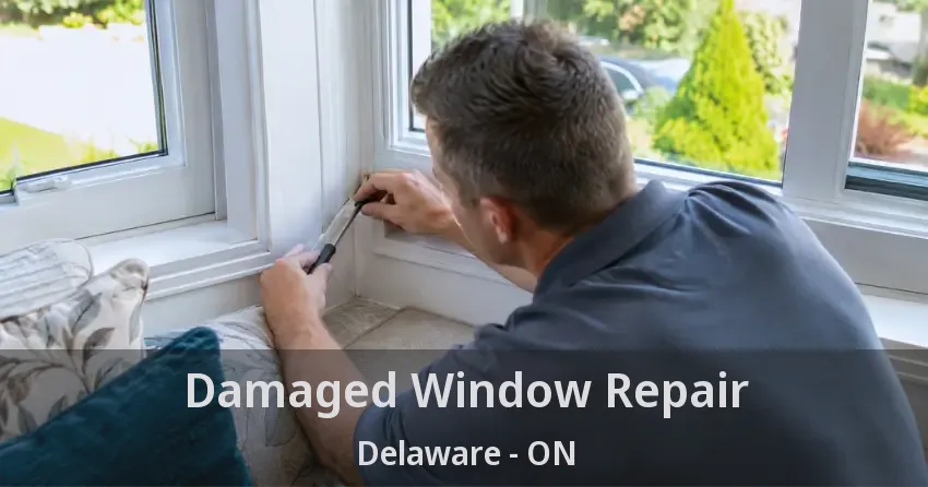 Damaged Window Repair Delaware - ON