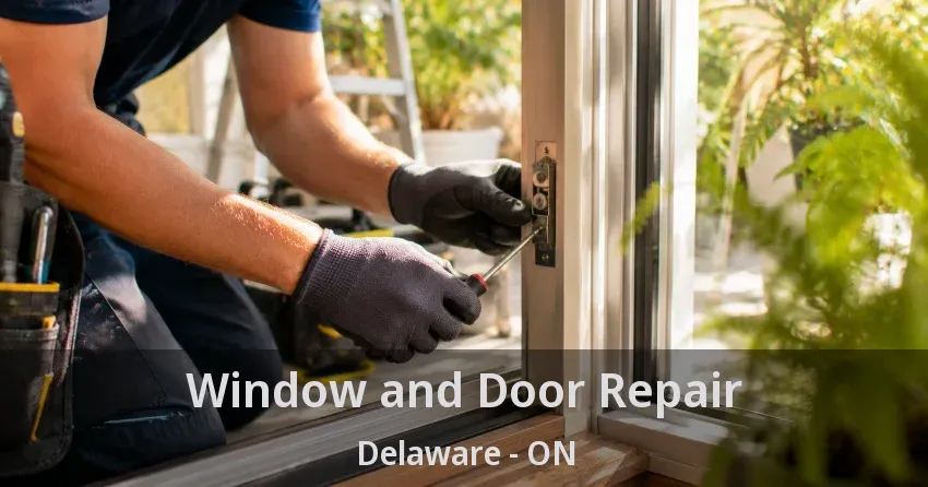 Window and Door Repair Delaware - ON
